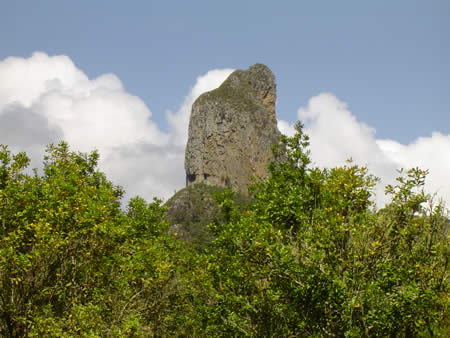 A zoomed photo of Crookneck just outside the spa window