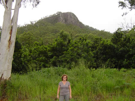 A view of the cliff of Mt Ngungun while walking along Fullertons Road.