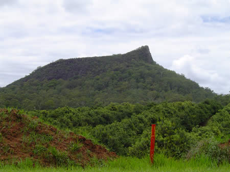 A view of Mt Ngun Gun while walking along Old Gympie Road