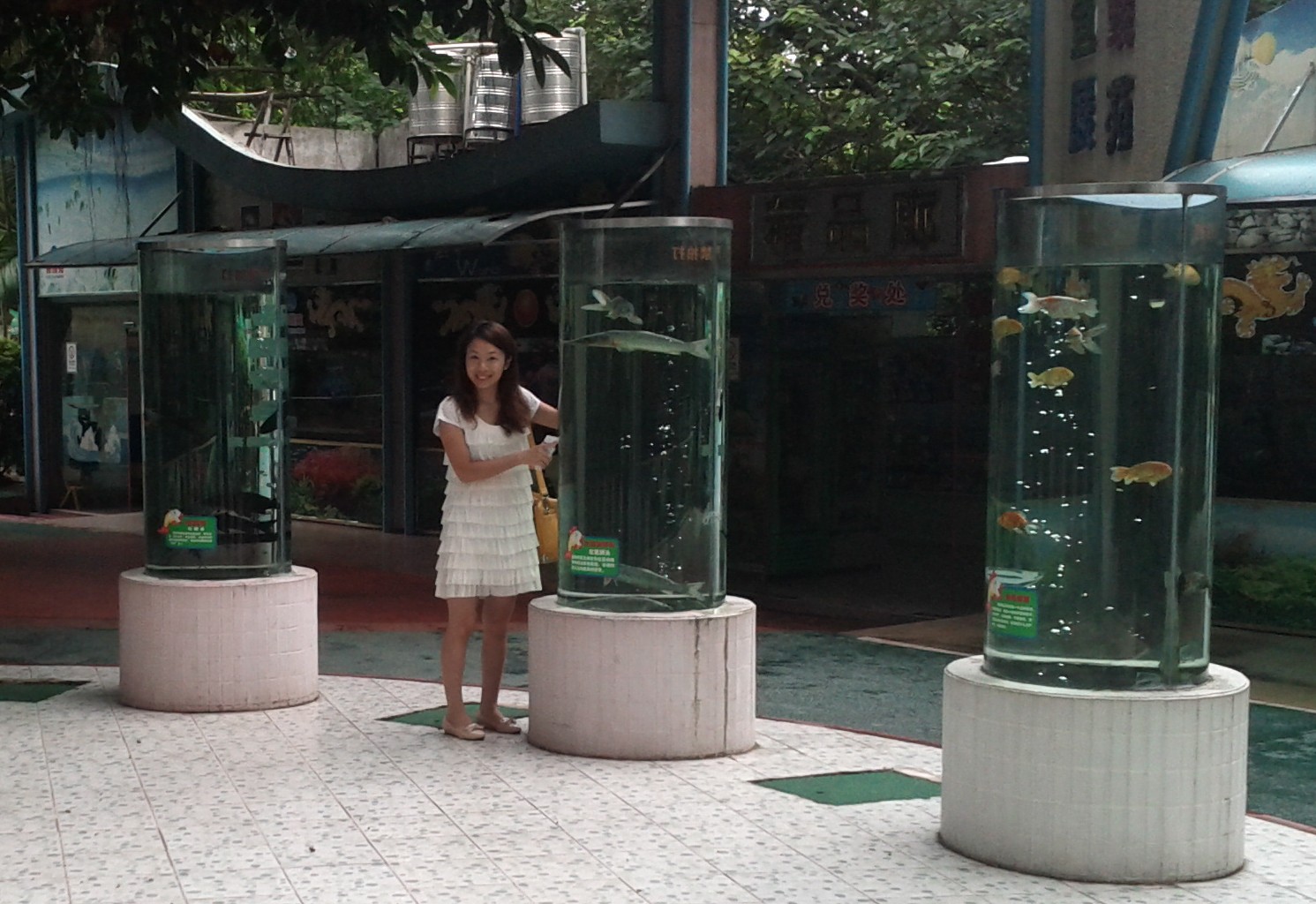 Yoyo with some gold fish at Guangzhou Zoo